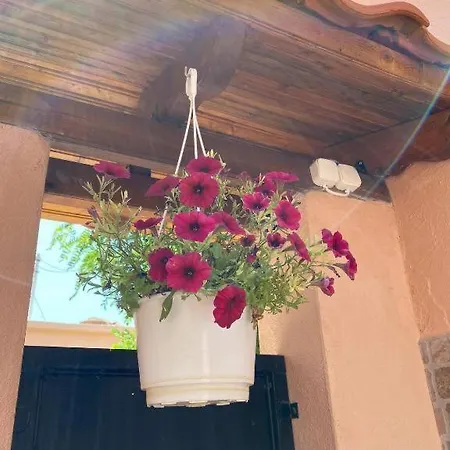 Appartement Ano Poli 5